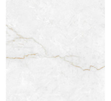 Torso gold керамогранит полированный 60x60