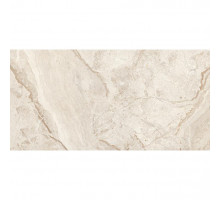 Breach silver керамогранит светло-серый полированный 60x120