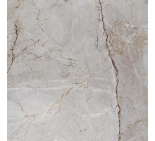 Silver root керамогранит полированный 60x60
