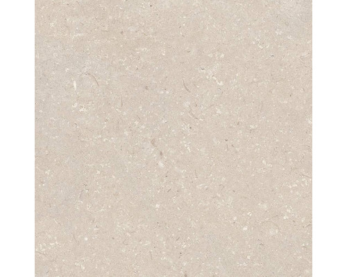 Coral Caliza L 120x120