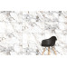K949808FLPR 60x120 Marble-X Бреча Капрайа Белый Полированный