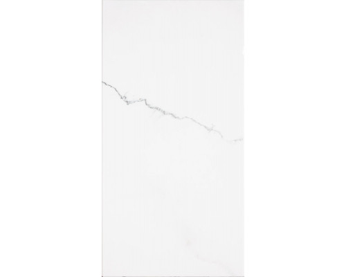 Плитка керамическая настенная CORINTO EWM500 Blanco 31x60 см