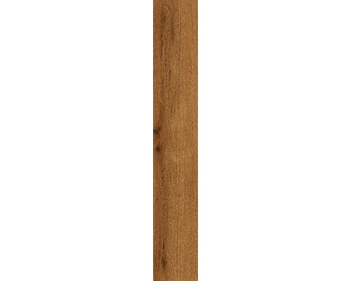 Verity Cognac /Верити Коньяк