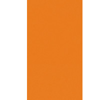 Линолеум спортивный 2х20,5 м Tarkett Omnisports Action 65 Orange
