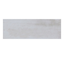 Плитка Brienz CENIZA 33.3x100