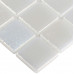 Стеклянная мозаика Shell 563