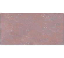 G-460/PR/300x600x10 (G-460/P)