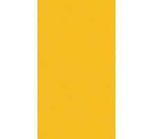 Линолеум спортивный 2х20,5 м Tarkett Omnisports Action 65 Yellow