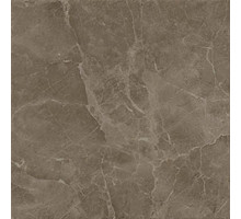 S.S. Grey Lastra 60x60