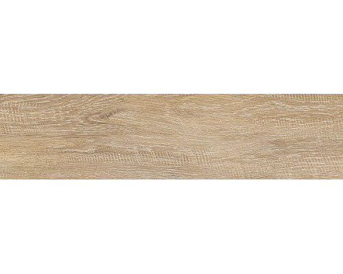 Eccelente beige PG 01