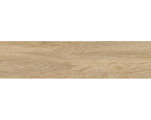 Eccelente beige PG 01