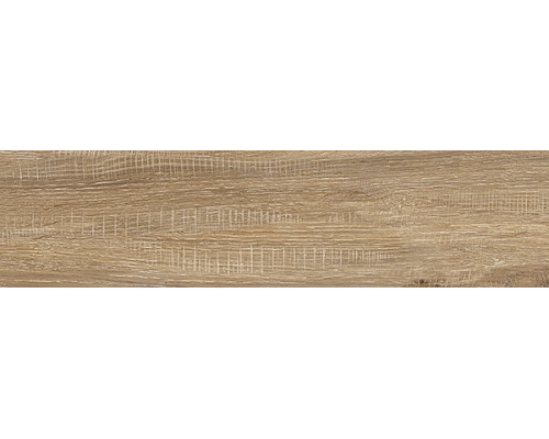Eccelente beige PG 01