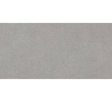 Fusione Grigio G 60x120