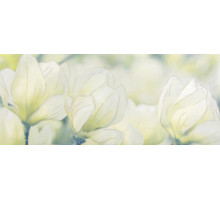 Rapsodia olive decor 01