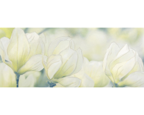 Rapsodia olive decor 01