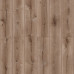 Ламинат 32 класс Swiss Krono Home Standard дуб джениус 2,109 кв.м 8 мм с фаской влагостойкий