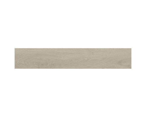 Керамогранит Forest FOREST ARGENT 20x120 MATT