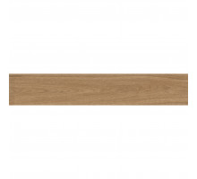 Керамогранит Forest FOREST PALM 20x120 MATT