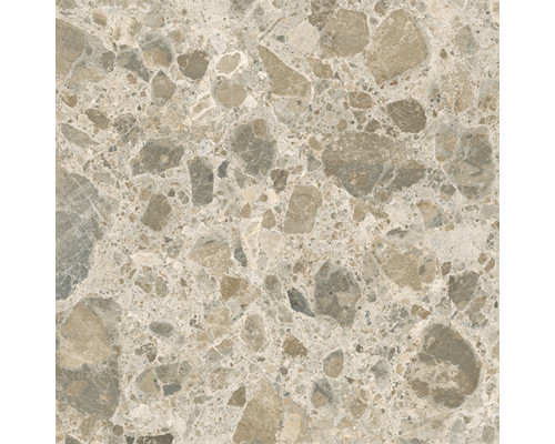 K951842R 60x60 CityStone Чеппо Мультиколор Матовый R10A