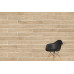 K949583R 20x120 Wood-X Ореx Голд Терра Матовый R10A