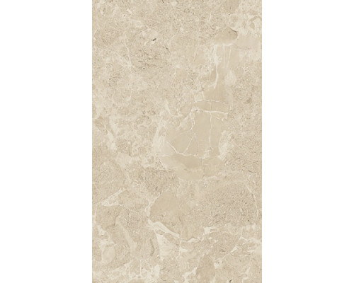 Saloni brown wall 01