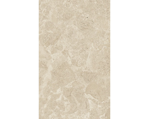 Saloni brown wall 01