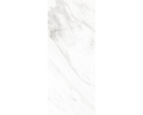 Scarlett white wall 01