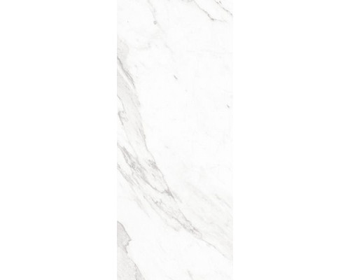 Scarlett white wall 01