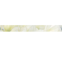 Rapsodia olive border 01