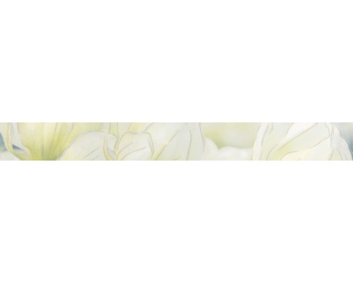 Rapsodia olive border 01