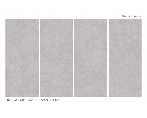 Керамический слэб Matt ONEGA GREY MATT 2780х1200х6мм