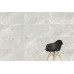 K951325LPR 60x120 Marmostone Светло-серый Лаппато R9