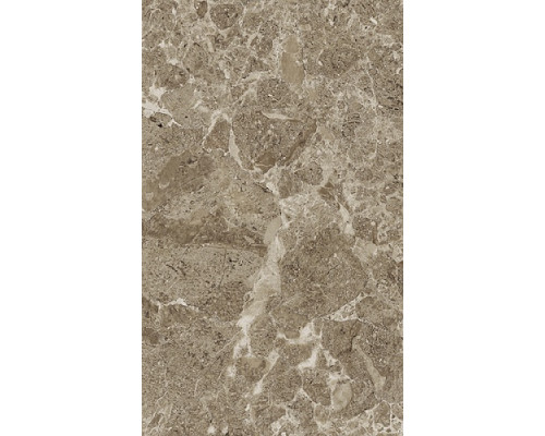 Saloni brown wall 02