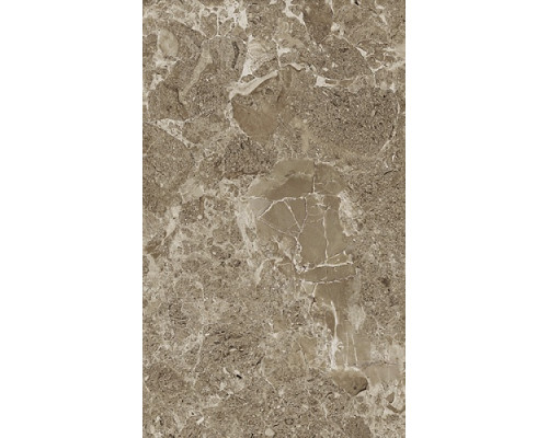 Saloni brown wall 02