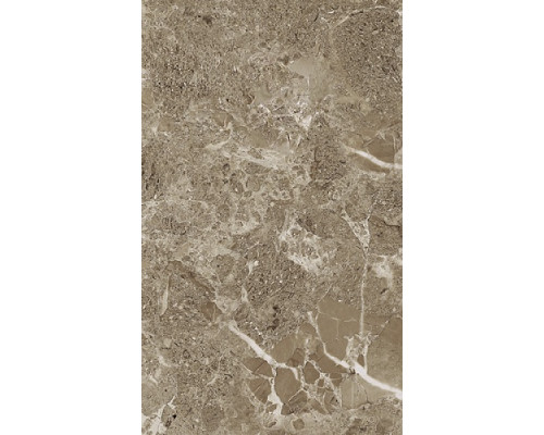 Saloni brown wall 02