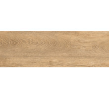 G-251/SR/200x600x9