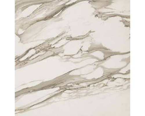 S.M. Calacatta Gold Rett 60x60