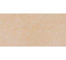 G-620/PR/300x600x10 (G-620/P)