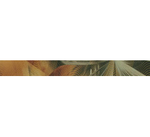Glory beige border 01
