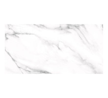 Керамогранит Palacio MAJESTIC WHITE 60x120 POLISHED