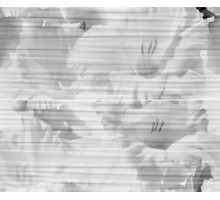 Celia white panno 01
