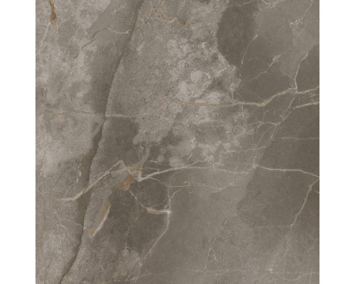 Allure Grey Beauty Lap 59x59
