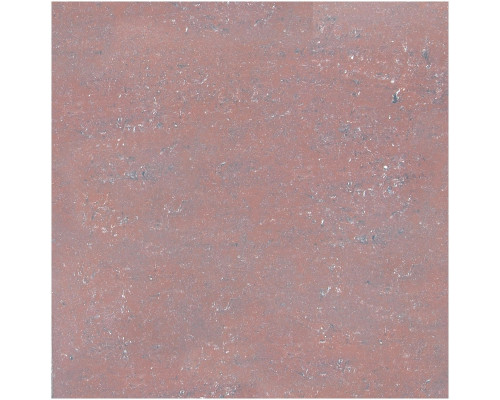 G-460/PR/600x600x10 (G-460/P)
