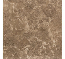 Saloni brown PG 03