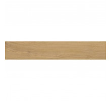 Керамогранит Forest FOREST MARBELLA 20x120 MATT