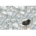 K951839LPR 60x60 CityMarble Амазония Мультиколор Лаппато R9