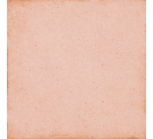 Плитка керамическая напольная 24388 ART NOUVEAU Coral Pink 20х20 см