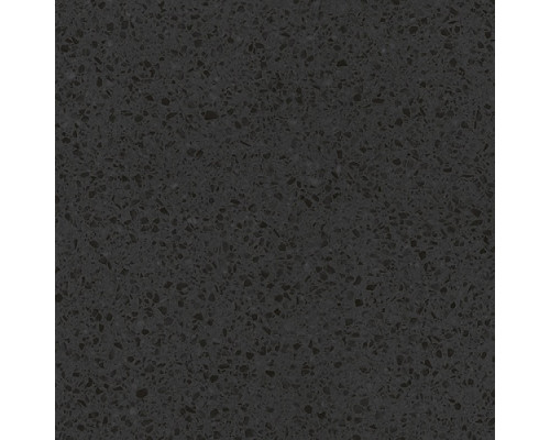 Molle black PG 01