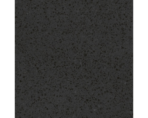 Molle black PG 01