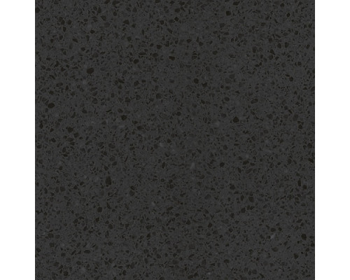 Molle black PG 01